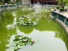 -碧江金楼