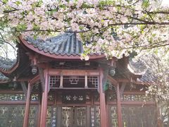 -棠湖公园