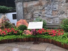 -上海醉白池公园