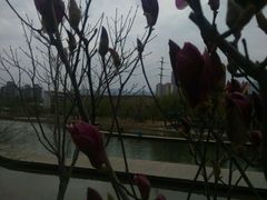 -雁滩公园