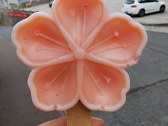 -北京凤凰岭