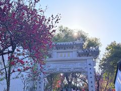 -乌山风景区