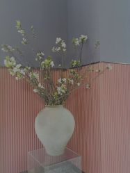 -花隐·美芙炫海菲秀皮肤管理中心