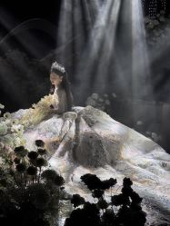 -拓美婚礼·私人订制