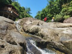 -广州白江湖森林公园