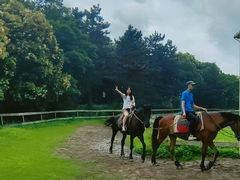 -太阳岛度假酒店