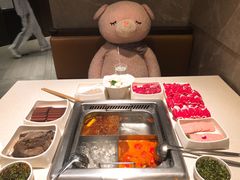 -海底捞火锅(龙岗星河COCO Park店)