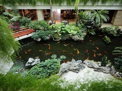 -白天鹅宾馆-宏图府餐厅