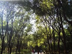 -大兴滨河森林公园