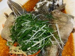 -维园悦谱·海派家常菜(乌鲁木齐南路店)