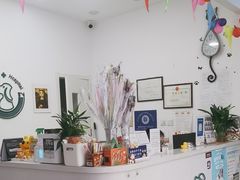 -中农国际动物医院24小时·猫科·骨科·急重症中心