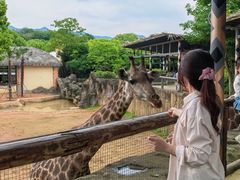 -杭州野生动物世界