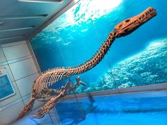 -自贡恐龙博物馆