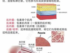 -锐动健身游泳(博地中心店)