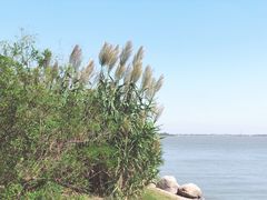 -上海滴水湖皇冠假日酒店