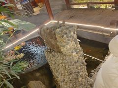 -三道苗苗鱼·美蛙黄辣丁(八里店)