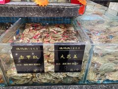 -渔码头食府(蓬莱阁店)