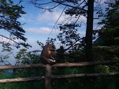 -峨眉山风景名胜区
