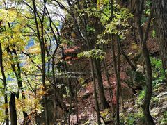 -五女峰国家森林公园