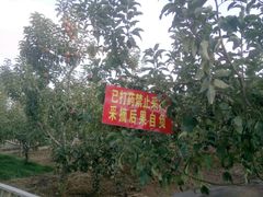 -九华山酒店温泉