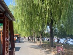 -楼外楼(西湖景区孤山路店)