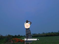 -紫颐香薰山谷景区