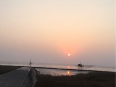 -南汇嘴观海公园