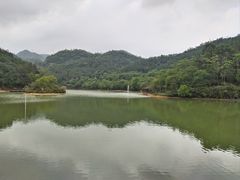 -广州白江湖森林公园