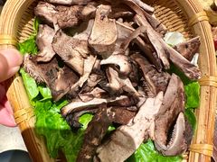 -滇野云南野生菌餐厅(陕西南路店)