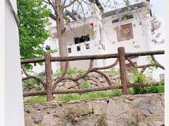 -大塘金香草谷