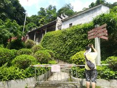-广州市帽峰山景区