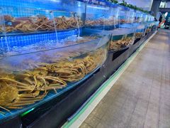 -驻海渔市(置信店)