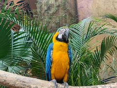 -杭州开元森泊度假乐园