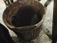 -黄三怪(清河店)