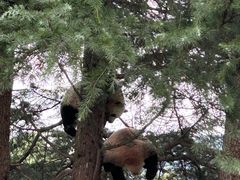 -西安秦岭野生动物园