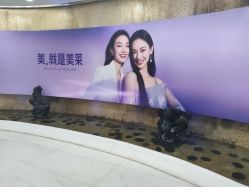 -广州美莱医疗美容医院