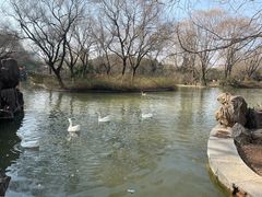 -洛阳市隋唐城遗址植物园