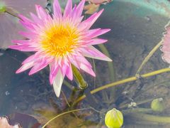 -上海植物园-4号门售票处