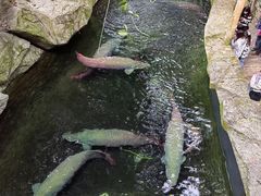 -青青世界