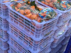 -东方鼎信农副产品交易中心