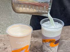 -CoCo都可(惠福店)