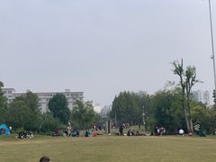 -武汉园博园(武汉自然博物馆)