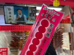 -和禄德冰糖葫芦
