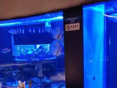 -上和臻品中国菜(花园街店)