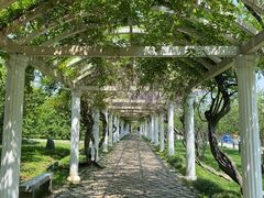 -苏州上方山国家森林公园