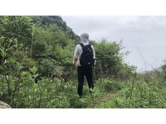 -终南山国家森林公园