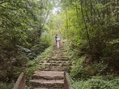 -西安祥峪森林公园