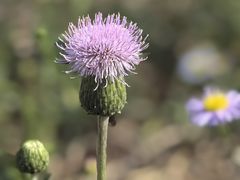 -南大港湿地风景区