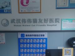 -伟伟宠物医院·瑞派猫友好医院·猫科(光谷店)
