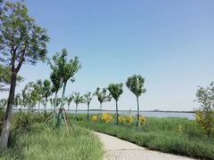 -天津东丽湖风景区